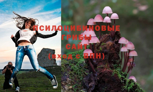 марки nbome Белоозёрский