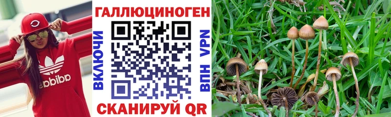 это официальный сайт  Кремёнки  Псилоцибиновые грибы прущие грибы  купить закладку  гидра зеркало 